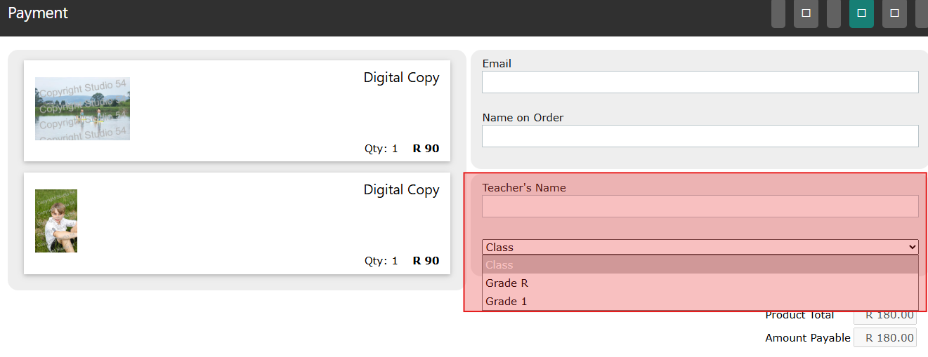 Payment page custom fields