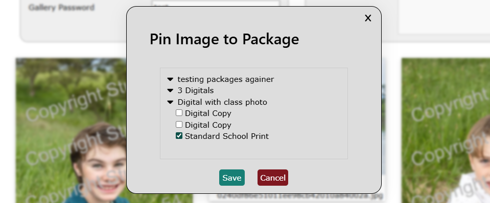 Pinning Images to a Package