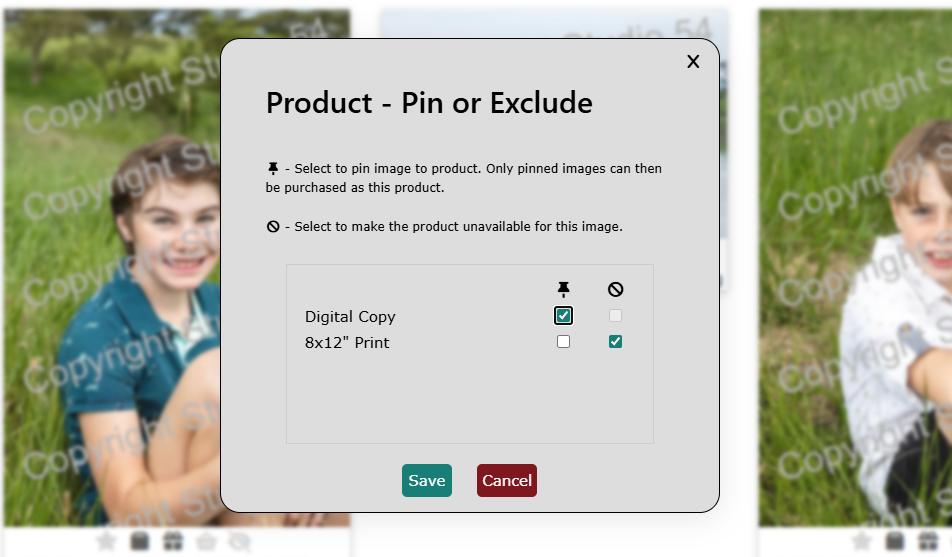 Pinning Images to a Product